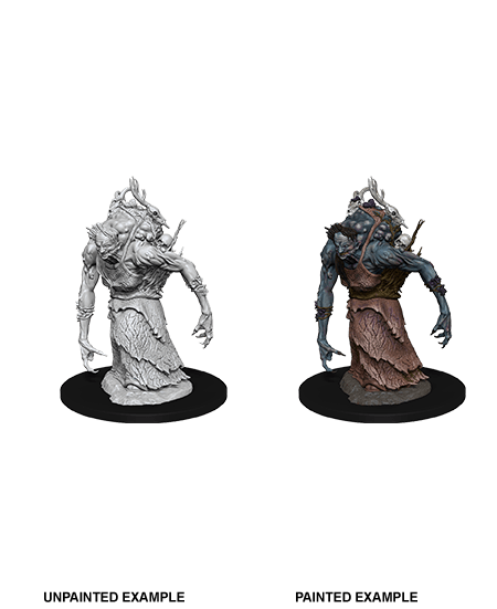 D&D - NMM -  Annis Hag